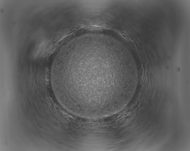 X0000056371301200508291350