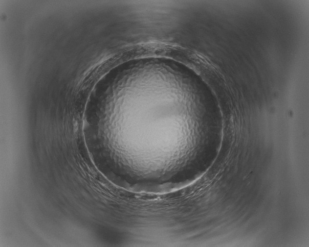 X0000056371302200508291350