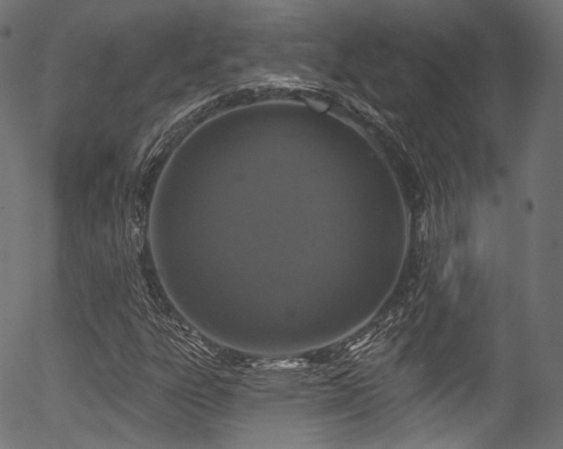 X0000056371303200508291350