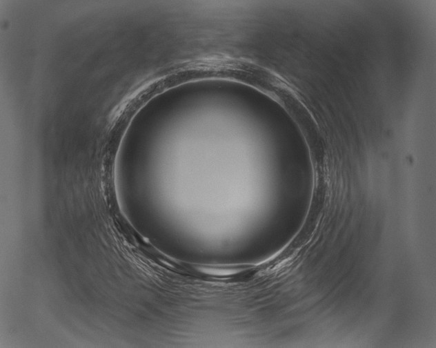 X0000056371304200508291350