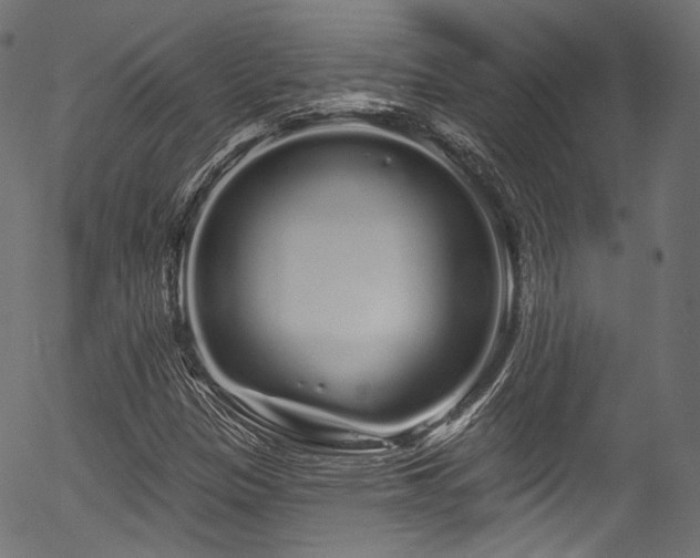 X0000056371305200508291350