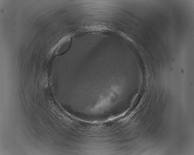 X0000056371306200508291350