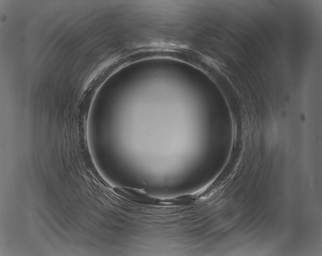 X0000056371307200508291350