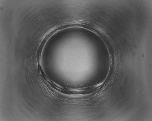 X0000056371308200508291350