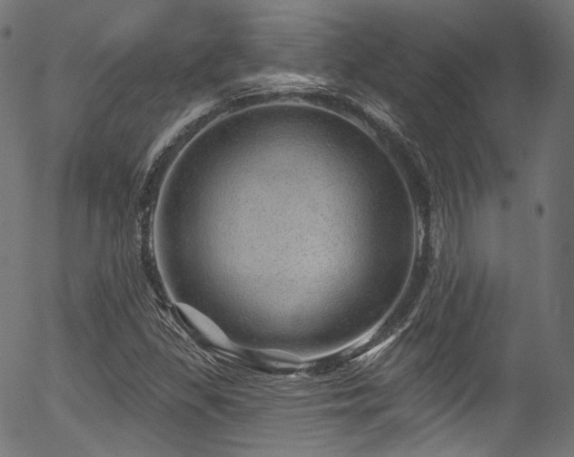 X0000056371309200508291350