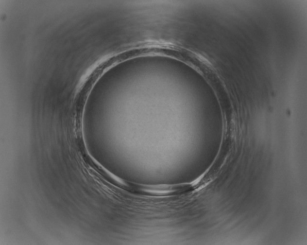 X0000056371310200508291350