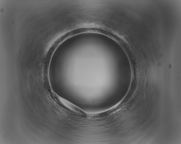 X0000056371311200508291350