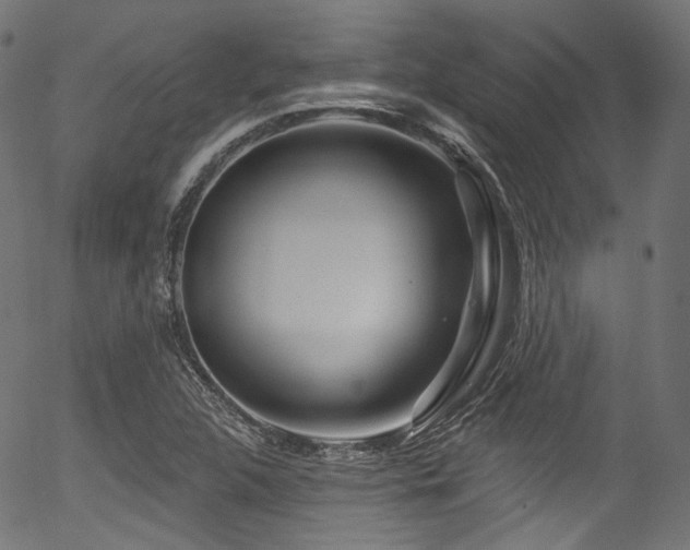 X0000056371312200508291350