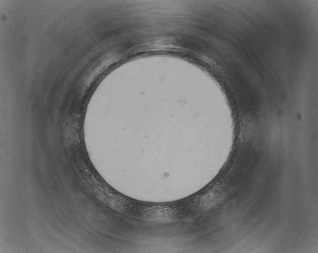 X0000056371314200508291350