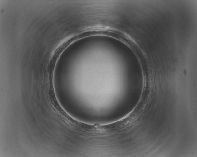 X0000056371315200508291350