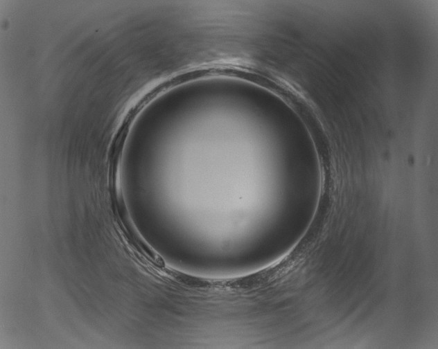 X0000056371316200508291350