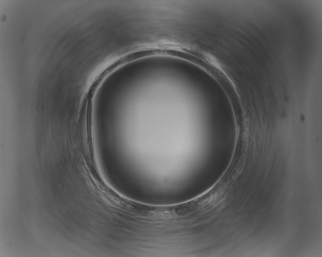 X0000056371320200508291350