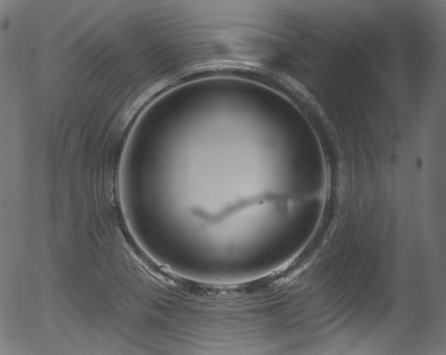 X0000056371321200508291350