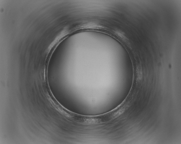 X0000056371322200508291350