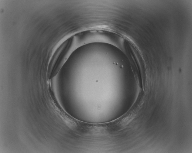 X0000056371324200508291350