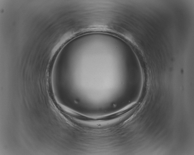 X0000056371325200508291350