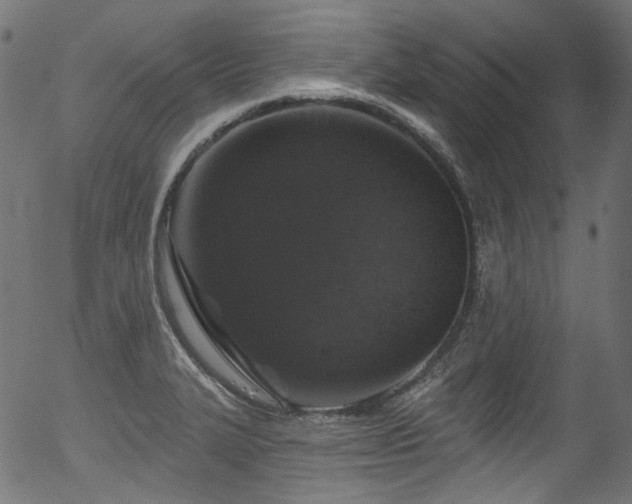 X0000056371327200508291350