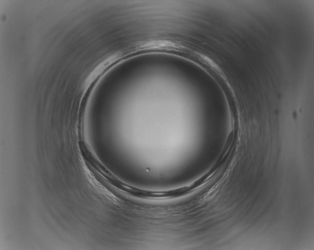 X0000056371330200508291350