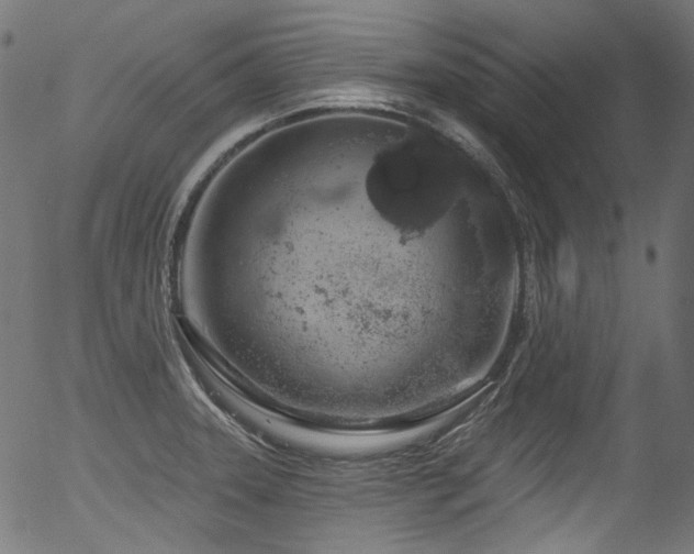 X0000056371331200508291351