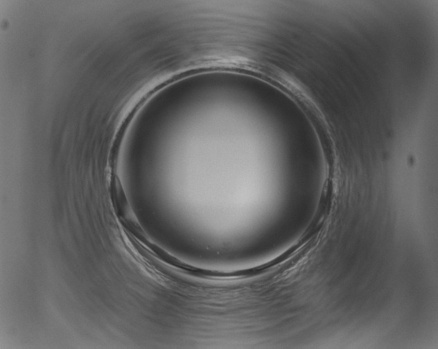 X0000056371332200508291351