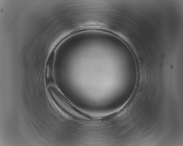 X0000056371333200508291351