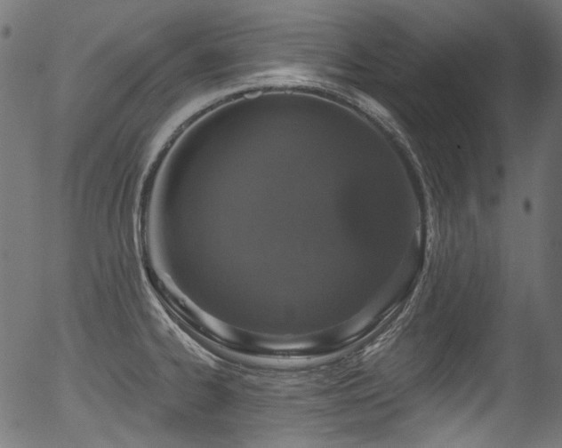 X0000056371334200508291351