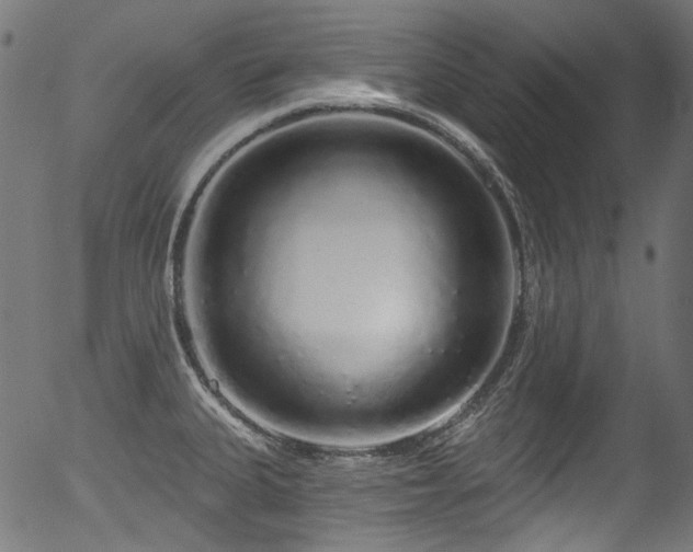 X0000056371335200508291351