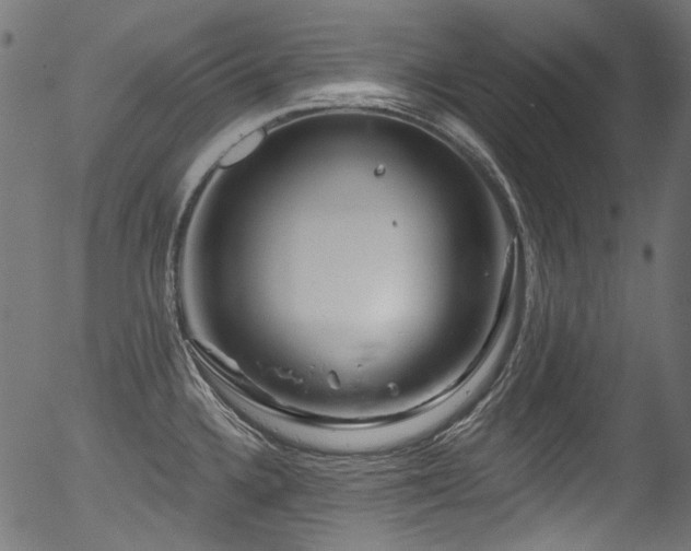 X0000056371336200508291351