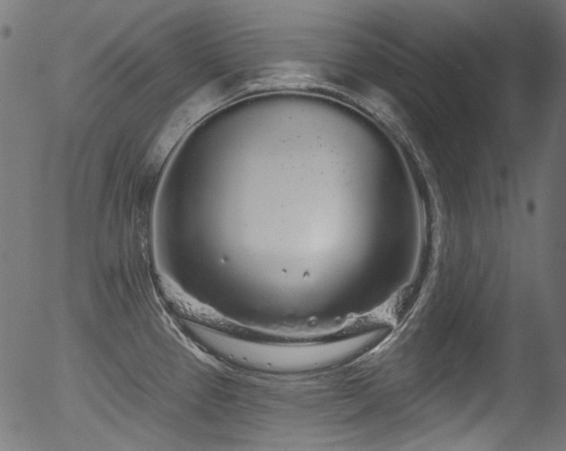 X0000056371337200508291351