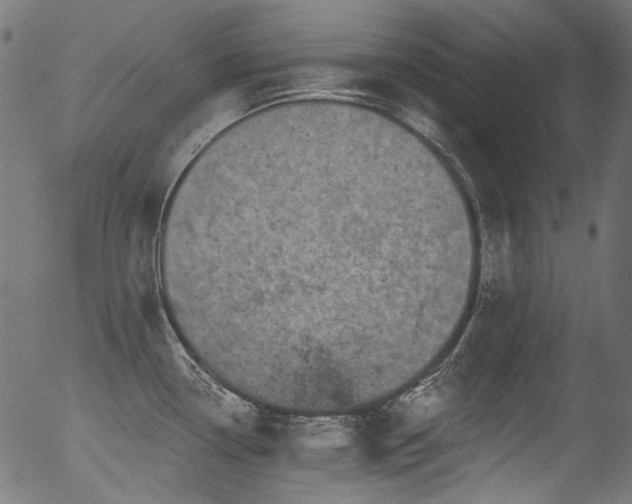 X0000056371338200508291351