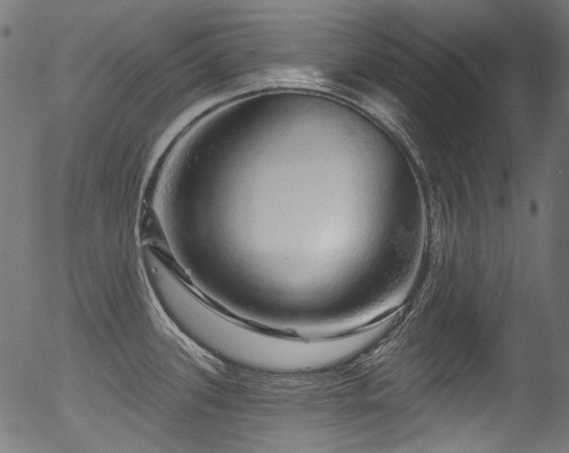 X0000056371339200508291351