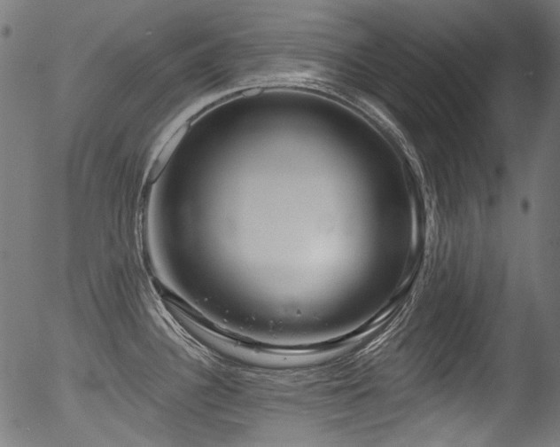 X0000056371340200508291351