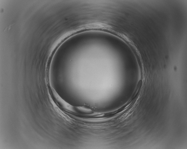 X0000056371342200508291351