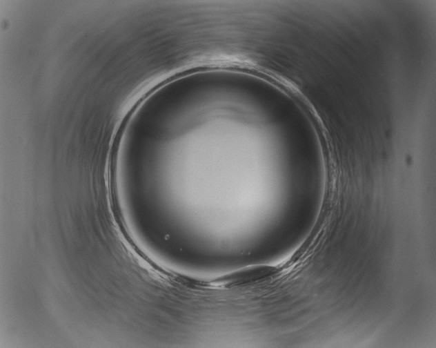 X0000056371343200508291351