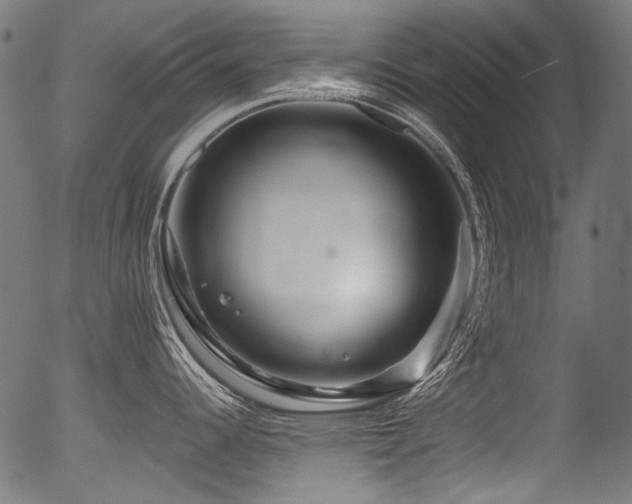 X0000056371344200508291351