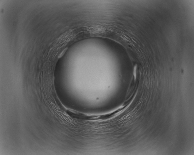 X0000056371345200508291350