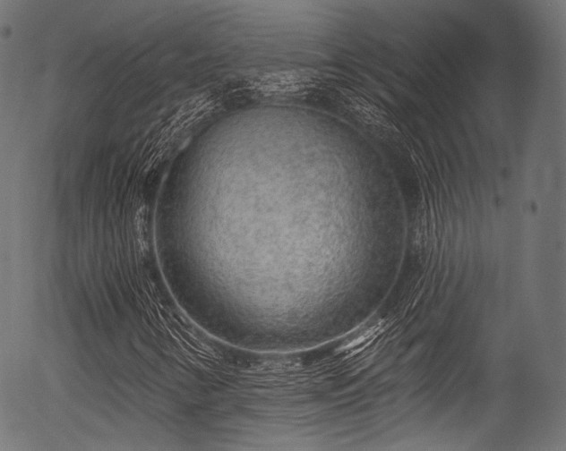 X0000056371346200508291350