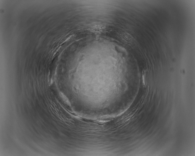 X0000056371347200508291350