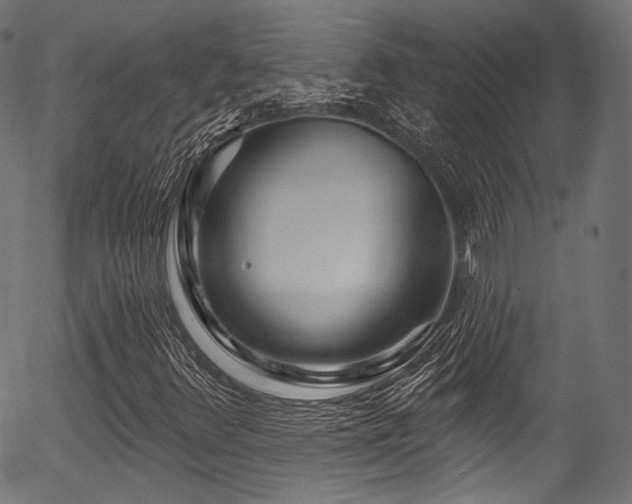 X0000056371348200508291350