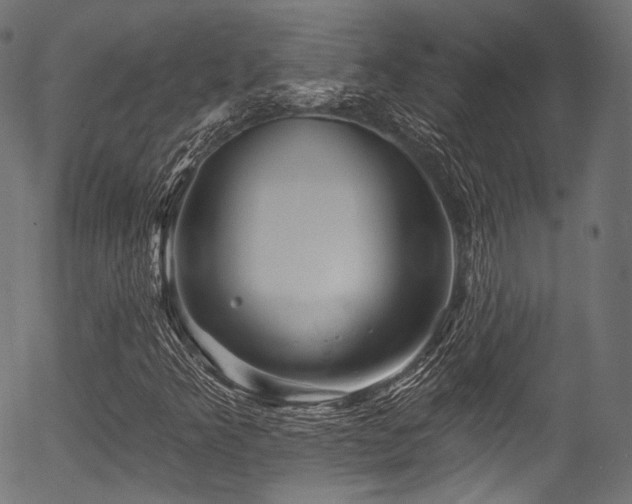 X0000056371349200508291350