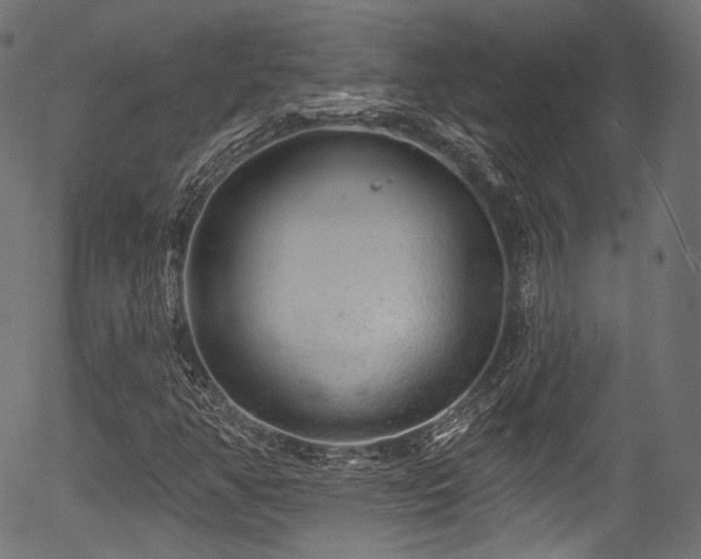 X0000056371350200508291350