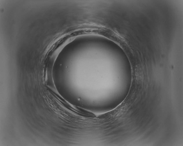 X0000056371352200508291350