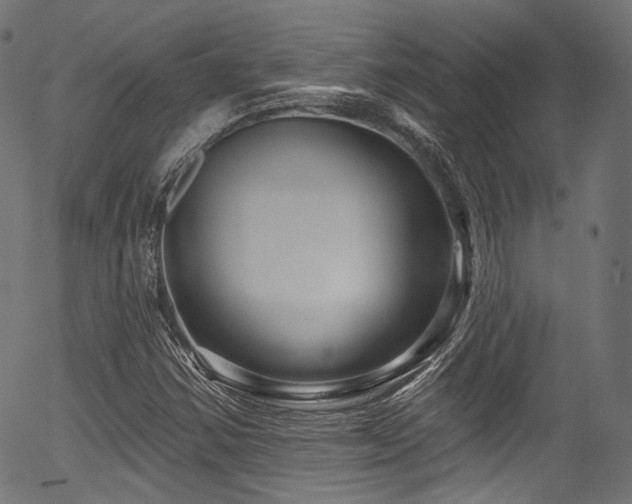 X0000056371354200508291350