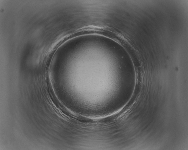 X0000056371355200508291350