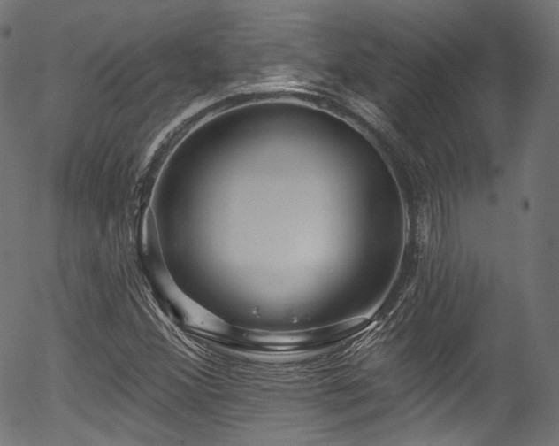 X0000056371356200508291350