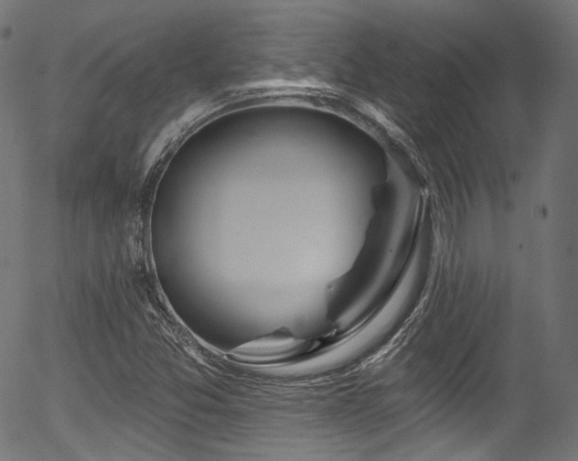 X0000056371357200508291350