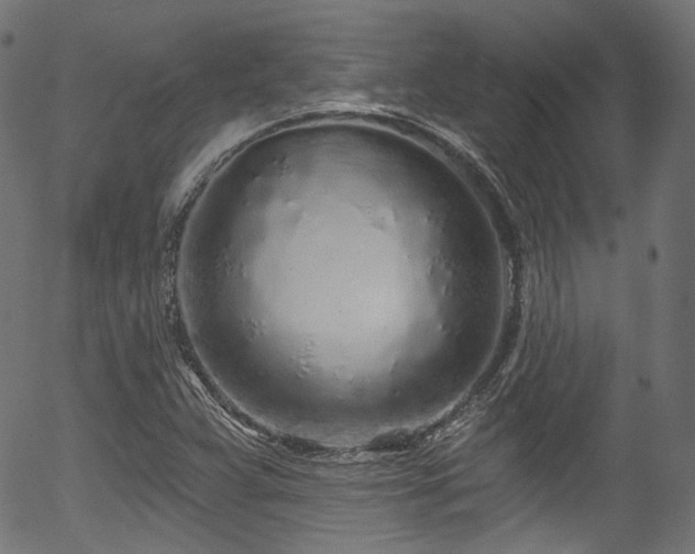 X0000056371359200508291350