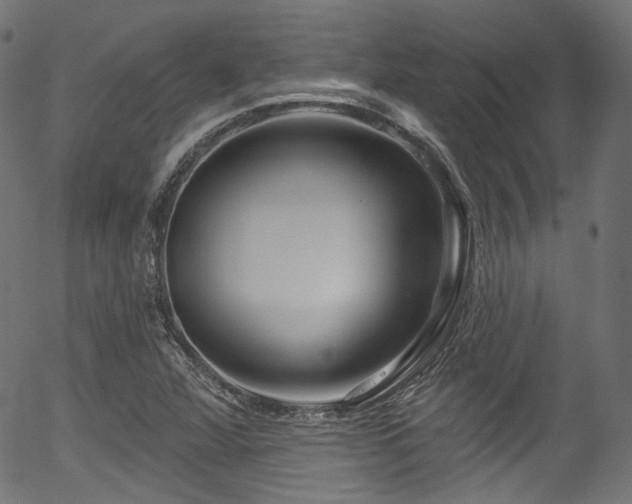 X0000056371360200508291350