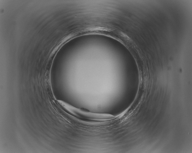 X0000056371361200508291350