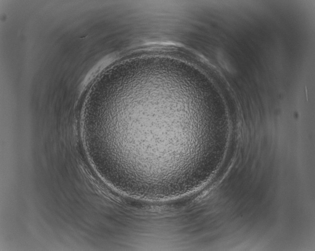 X0000056371362200508291350